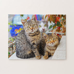 Puzzle chats