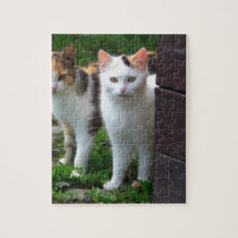 Puzzle Chats dehors en train de jouer