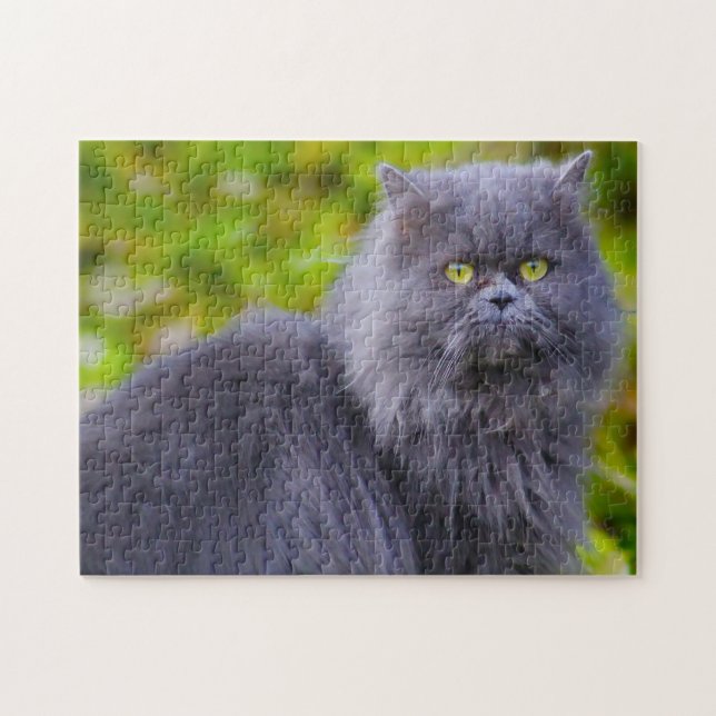 Puzzle Chats Persans. (Horizontal)