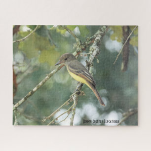 Puzzle Chaudron Brown, amoureux des oiseaux