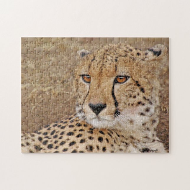 Puzzle Cheetah (Horizontal)