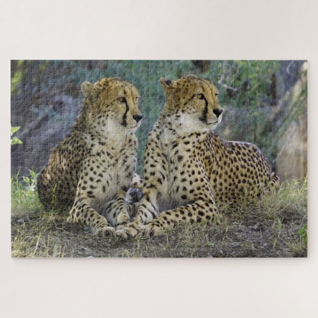 Puzzle Cheetah (Horizontal)