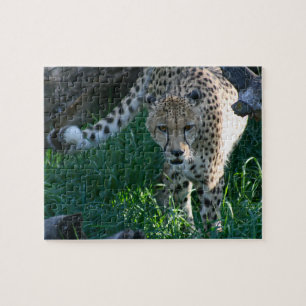 Puzzle Cheetah à la chasse