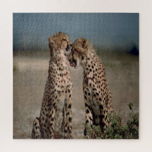 Puzzle Cheetah Love