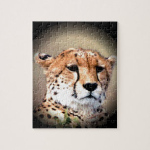 Puzzle Cheetah Portrait par Pleine lune : La grâce de la 