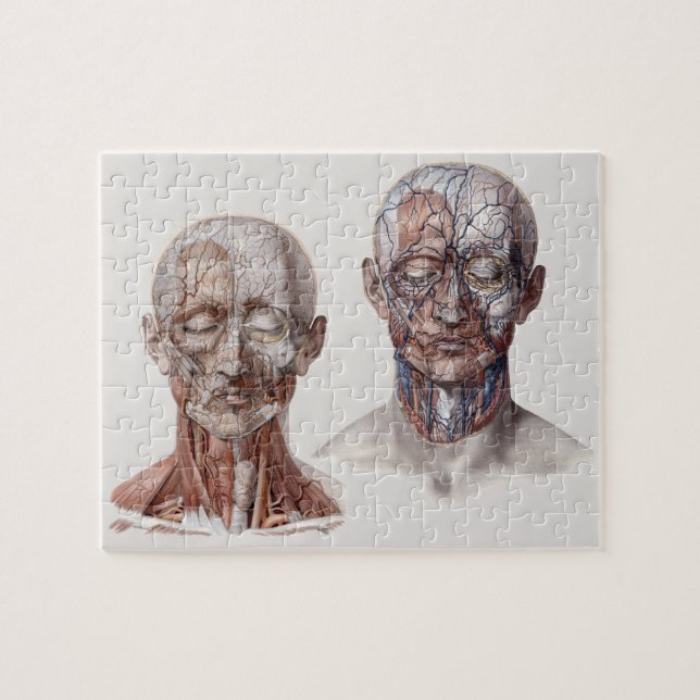 Puzzle Chefs vintages de la science de l'anatomie humaine (Horizontal)