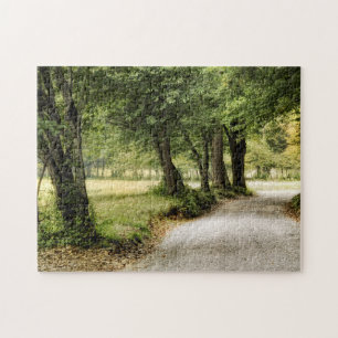 Puzzle Chemin dans le pays
