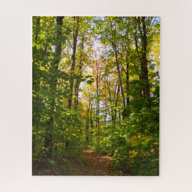 Puzzle Chemin paisible dans la forêt (Vertical)