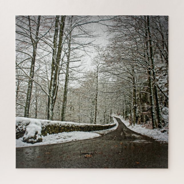 Puzzle Chemin vers Dreamland - Forêt allemande -20x20-676 (Vertical)