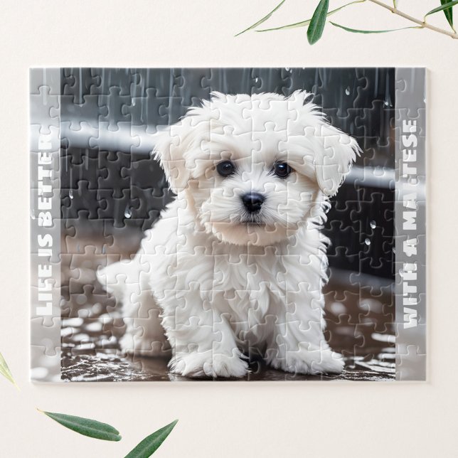 Puzzle Cher Chien Maltais Chien Chien Chien Chien Chien C (Cute Maltese Dog Puppy Fall Rain Custom Name Jigsaw Puzzle)