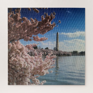 Puzzle Cherry Blossoms à Washington