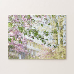 Puzzle Cherry Blossoms Duncan Terrace Gardens London UK