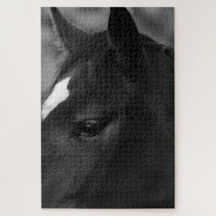 Puzzle Cheval 20x30 1014pc jpcnm