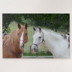 Puzzle Cheval amis