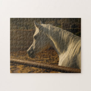 Puzzle Cheval arabe gris