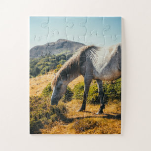 Puzzle Cheval blanc et gris pâturage avec soleil brillant