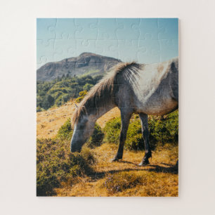 Puzzle Cheval blanc et gris pâturage avec soleil brillant