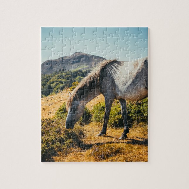 Puzzle Cheval blanc et gris pâturage avec soleil brillant (Vertical)