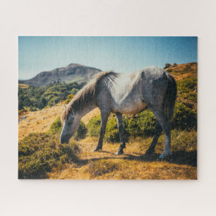 Puzzle Cheval blanc et gris pâturage avec soleil brillant