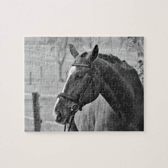 Puzzle Cheval blanc noir - Art de la photographie animale (Horizontal)
