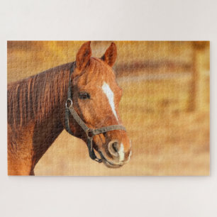 Puzzle cheval Brown
