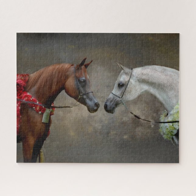 Puzzle Cheval championne arabe équestre (Horizontal)