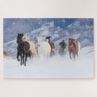 Cheval courant à travers la neige