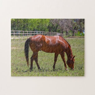 Puzzle Cheval de châtaignes en campagne