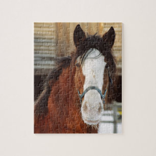 Puzzle Cheval de Clydesdale
