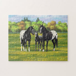 Puzzle Cheval De L'Appaloosa Noir Dans Le Pâturage D'Été