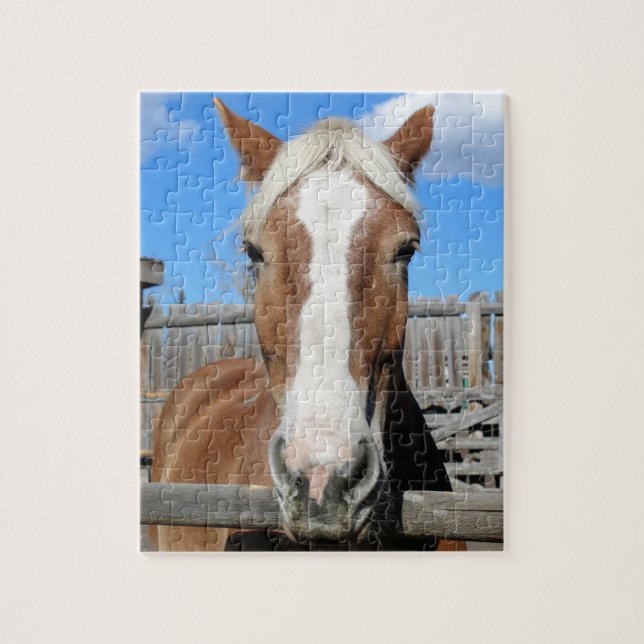 Puzzle Cheval de trait belge (Vertical)