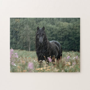 Puzzle Cheval friésien dans un champ Fleur sauvage