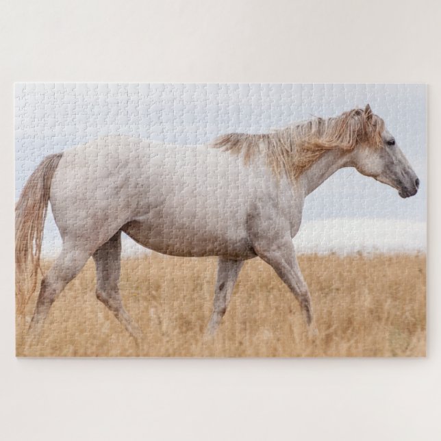 Puzzle Cheval gris marchant dans le champ (Horizontal)