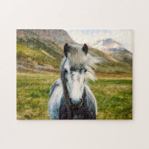 Puzzle Cheval gris sauvage dans les montagnes