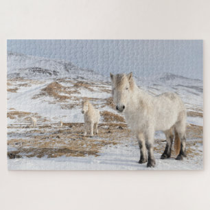 Puzzle Cheval islandais   Blonduos, Islande