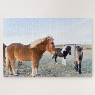 Puzzle Cheval islandais en hiver en Islande