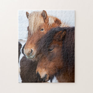 Puzzle Cheval islandais en hiver en Islande