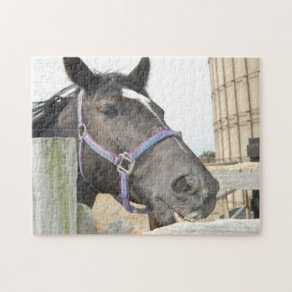 Puzzle Cheval mâcher une clôture