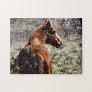 Puzzle Cheval majestueux à la ferme Georgia, USA