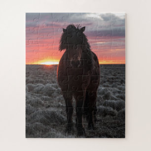 Puzzle Cheval Mustang sauvage au coucher du soleil
