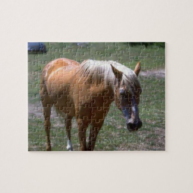 Puzzle Cheval Palomino (Horizontal)