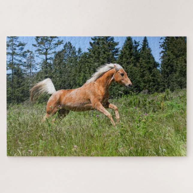 Puzzle Cheval Palomino traversant une prairie (Horizontal)