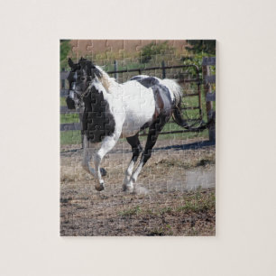 Puzzle Cheval Pinto Paint