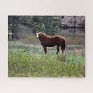 Puzzle Cheval regardant en arrière