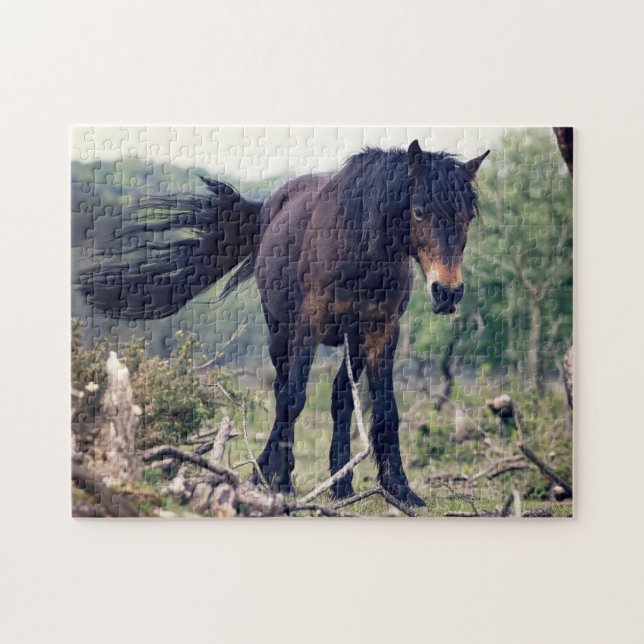 Puzzle Cheval sauvage (Horizontal)