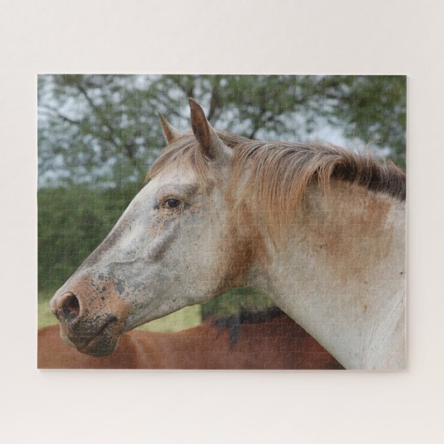 Puzzle Cheval tacheté (Horizontal)