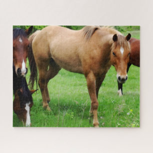 Puzzle Chevaux