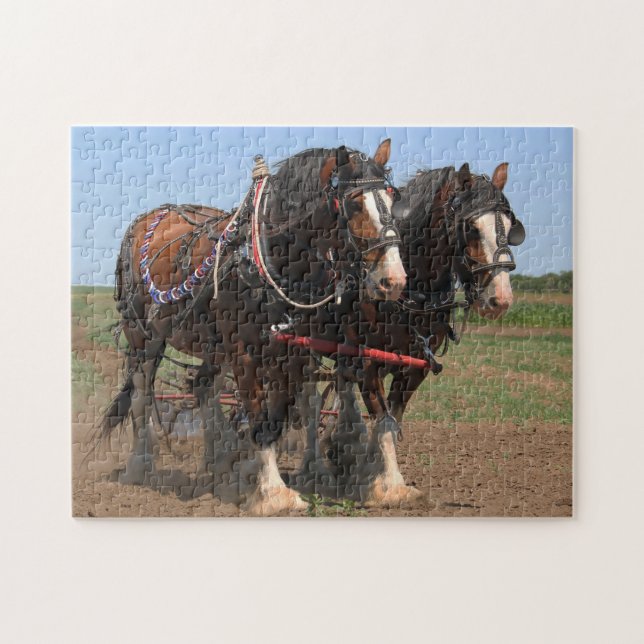 Puzzle Chevaux Clydesdale Plowers. (Horizontal)
