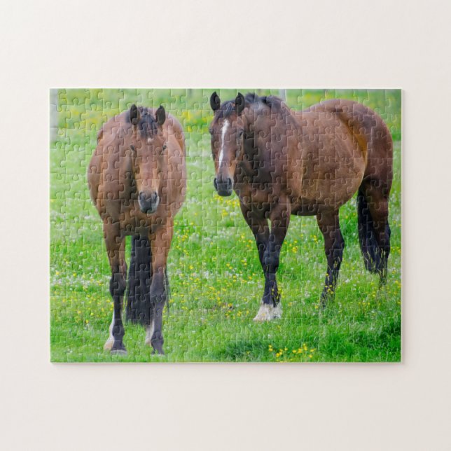 Puzzle Chevaux dans un champ (Horizontal)
