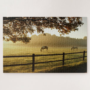 Puzzle Chevaux dans un champ un matin ensoleillé